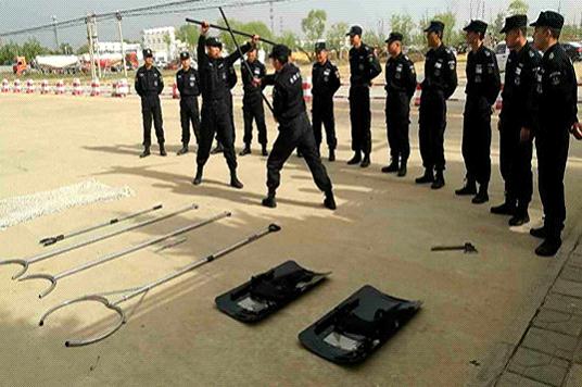 让呼吸道疾病诊治不再“盲人摸象”‘米兰’(图3) 米兰·(milan)