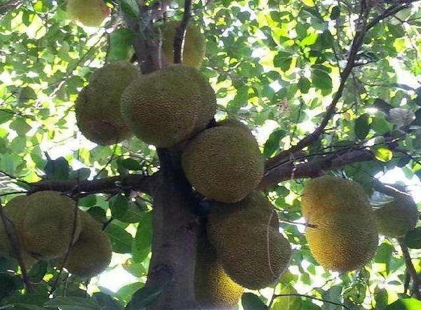 米兰·(milan)中国官方网站_人活着，有时真的很累！(图1)