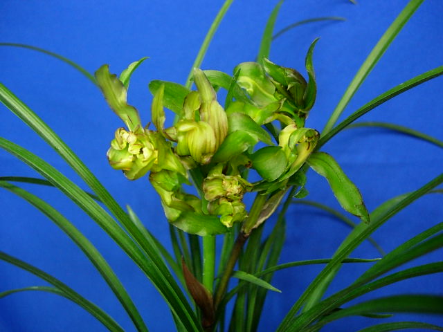 使用Python+OpenCV进行图像处理（三）|米兰(图2)