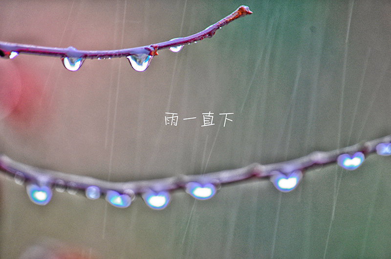 “米兰”很多备胎都没意识到自己是备胎。(图1)