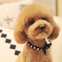 米兰·(milan)中国官方网站