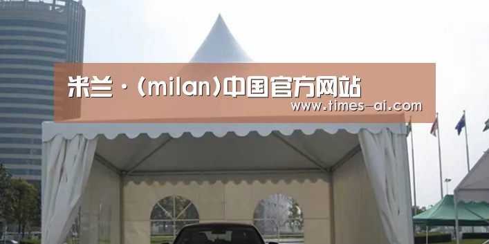 案例标题八
