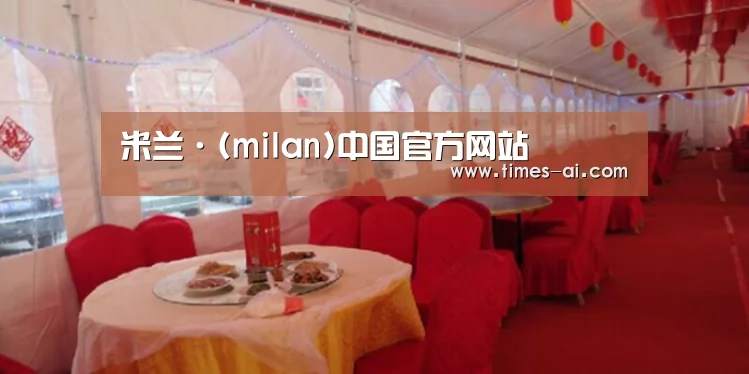 案例标题二