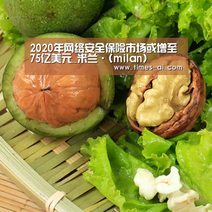 2020年网络安全保险市场或增至75亿美元_米兰·(milan)(图3) 米兰