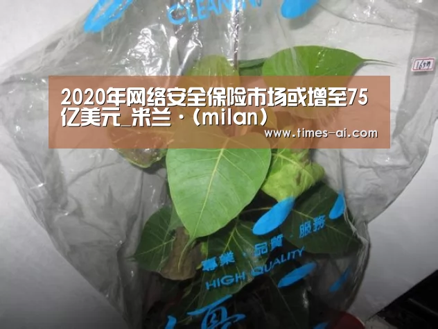 2020年网络安全保险市场或增至75亿美元_米兰·(milan)(图2) 米兰·(milan)