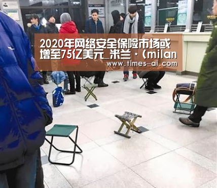 2020年网络安全保险市场或增至75亿美元_米兰·(milan)(图4) 米兰