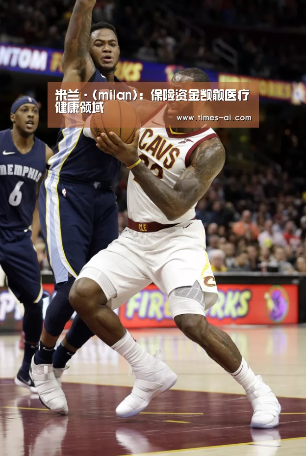 米兰·(milan):保险资金觊觎医疗健康领域(图4) 米兰