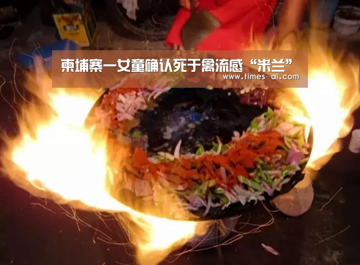 柬埔寨一女童确认死于禽流感“米兰”(图1) 米兰·(milan)中国官方网站