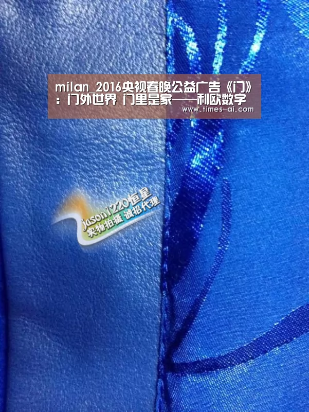 milan_2016央视春晚公益广告《门》:门外世界 门里是家——利欧数字旗下琥珀传播诚意钜献(图2) 米兰