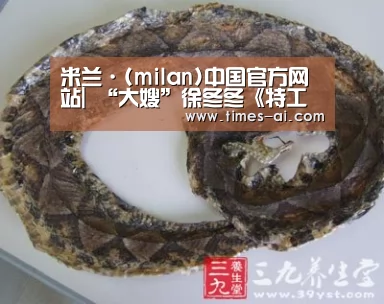 米兰·(milan)中国官方网站|
“大嫂”徐冬冬《特工狂花》首播 化身特工英姿飒爽 烂俗又悦目