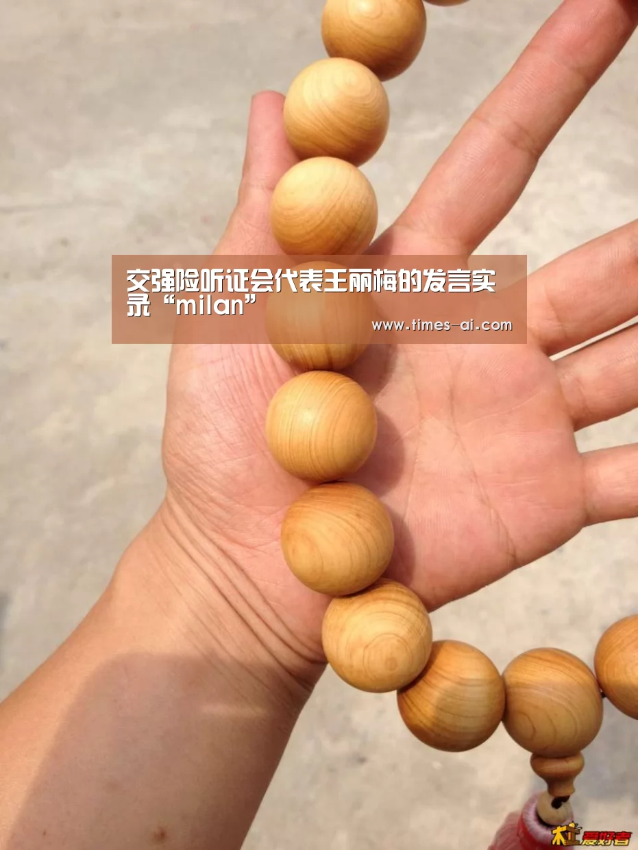 交强险听证会代表王丽梅的发言实录“milan”(图2) 米兰·(milan)中国官方网站
