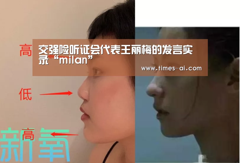 交强险听证会代表王丽梅的发言实录“milan”(图1) 米兰