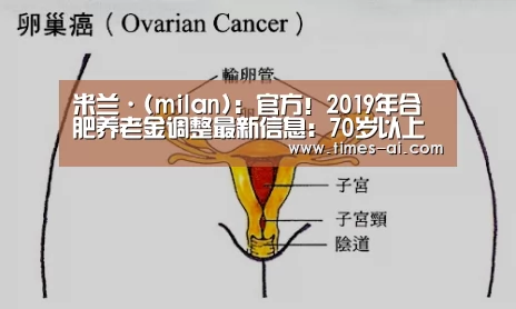 米兰·(milan):官方!2019年合肥养老金调整最新信息:70岁以上每月再涨40元(图3) 米兰·(milan)