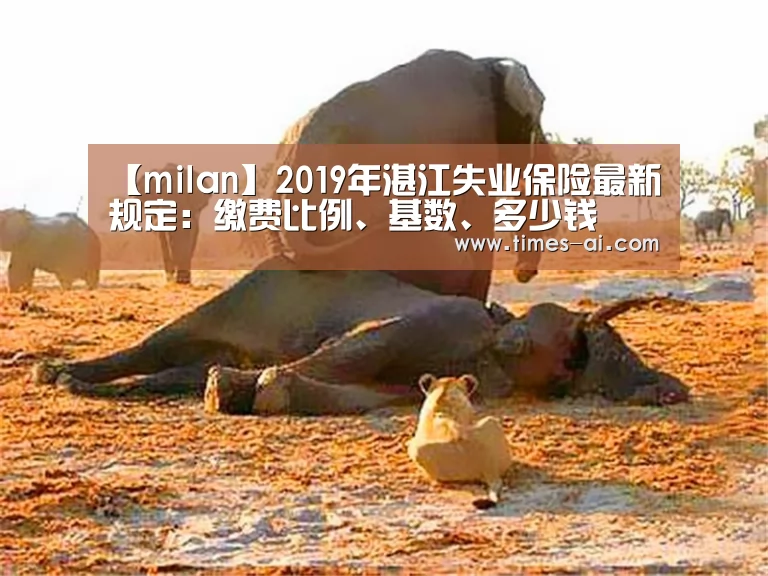 【milan】2019年湛江失业保险最新规定:缴费比例、基数、多少钱(图1) 米兰·(milan)中国官方网站