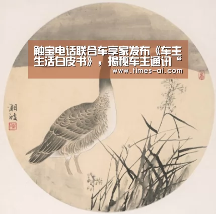 触宝电话联合车享家发布《车主生活白皮书》,揭秘车主通讯“露”了什么【milan】(图3) 米兰